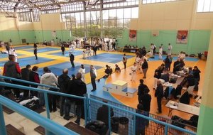 Superbe week end de compétitions à Maisons-Laffitte le 9 et 10 janvier