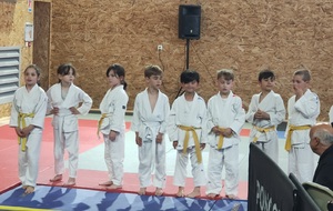 📣 Retour sur la Coupe Judo Club de Vaux-sur-Seine – Dimanche 18 mai 2025