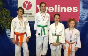 Nora Benkerroum (fille d'Ali licenciée aux Mureaux), Vice championne des Yvelines benjamines -44 kgs