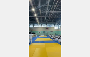 Qui veut des chocobons ?