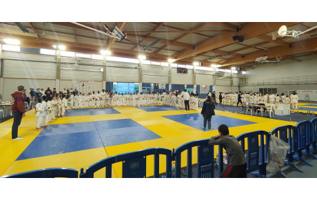 Bravo à nos jeunes judokas pour leur participation au tournoi de Carrières-sous-Poissy !